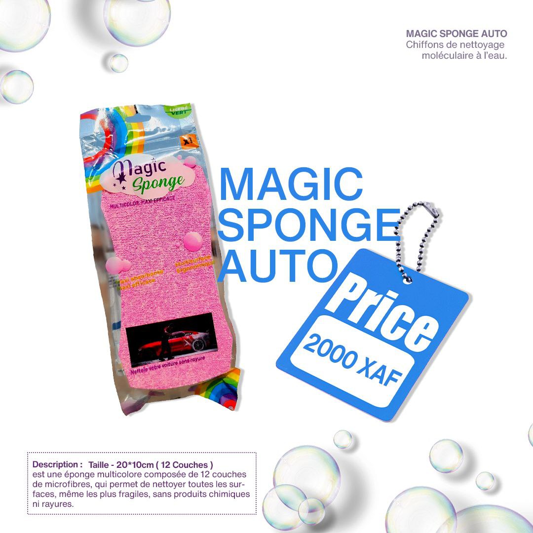 MAGIC SPONGE AUTO 20_10CM ( 12 COUCHES )